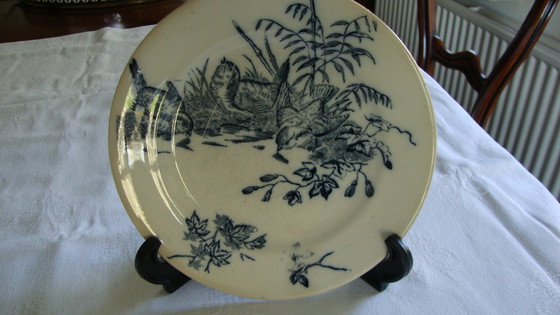 Image 1 of 8x Piatti Vintage con Uccelli