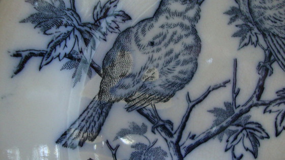 Image 1 of 8x Piatti Vintage con Uccelli