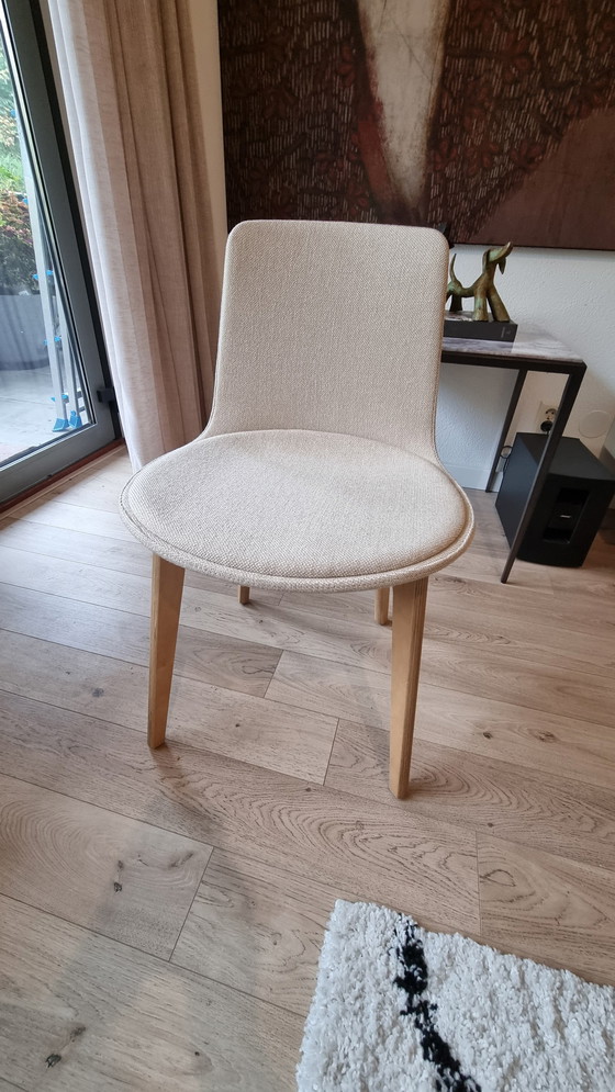 Image 1 of Chair/Dining Room Chair Enea Design Lottus