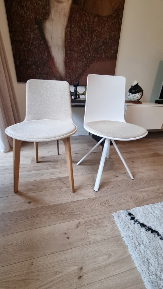 Image 1 of Chair/Dining Room Chair Enea Design Lottus