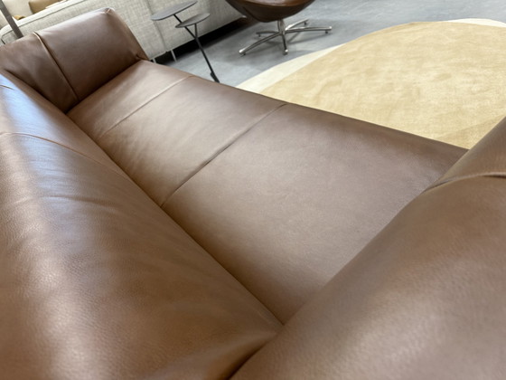 Image 1 of Label Vandenberg Moby Dick 3 Seater Sofa Bovino Dark Brown