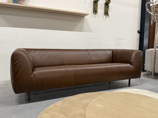 Label Vandenberg Moby Dick 3 Seater Sofa Bovino Dark Brown