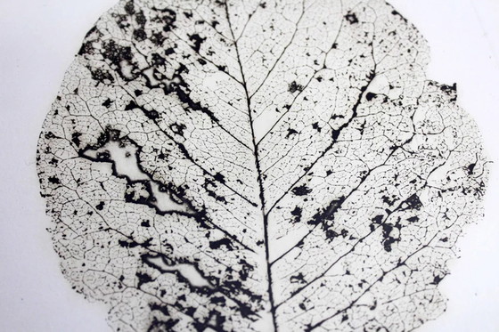 Image 1 of Tree leaf engraving by H Zimmermann 2000