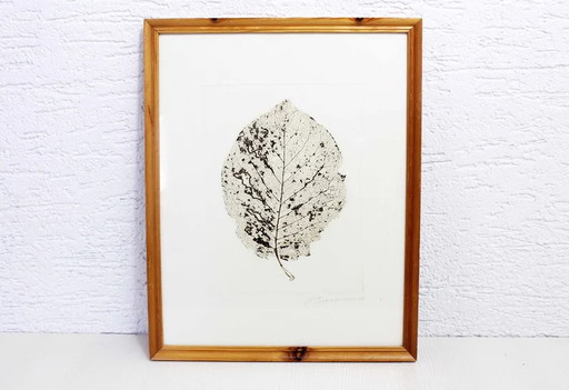 Tree leaf engraving by H Zimmermann 2000