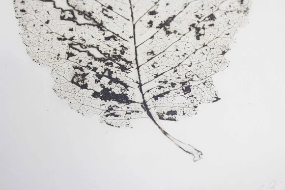 Image 1 of Tree leaf engraving by H Zimmermann 2000