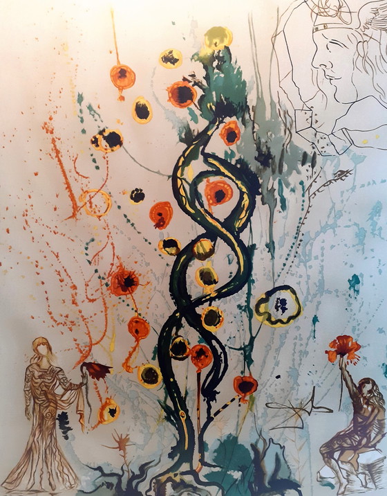 Image 1 of Salvador Dali Screenprint on silk by Demart