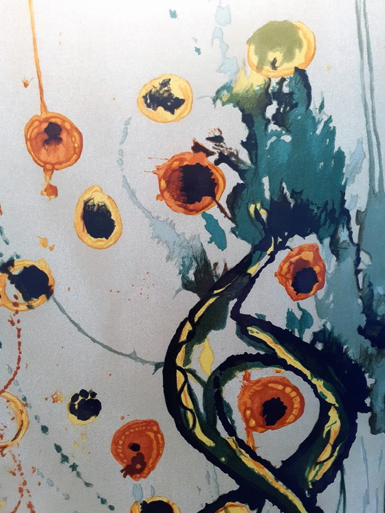 Image 1 of Salvador Dali Screenprint on silk by Demart