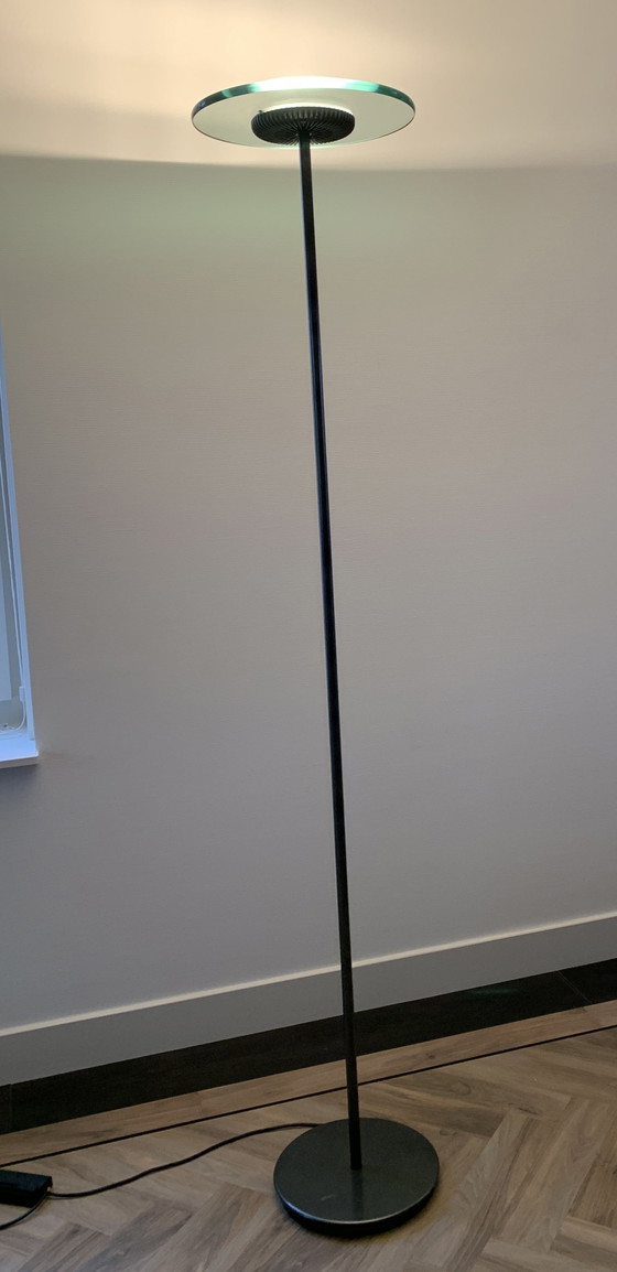 Image 1 of Cini & Nils Aureola Halo floor lamp 1980'S Italy