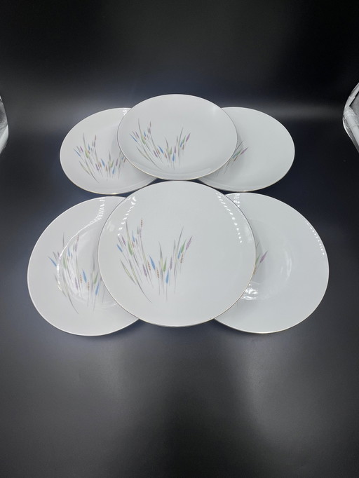 Set Of 6 Bareuther Flat Plates