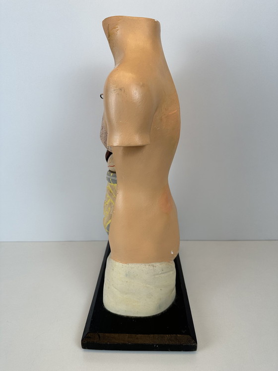 Image 1 of Antique Anatomical Model (Small) - Plaster And Papier Maché