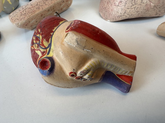 Image 1 of Antique Anatomical Model (Small) - Plaster And Papier Maché