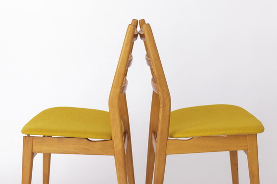 Image 1 of 2 Vintage Chairs Casala, 1970S, Germany