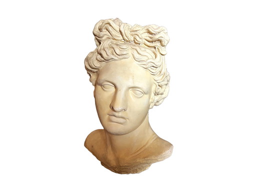 Impressive Antique Apollo Bust