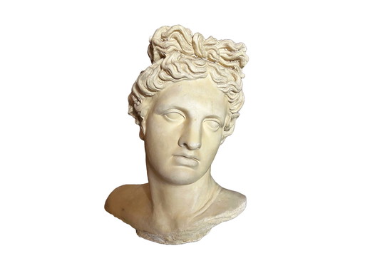 Impressive Antique Apollo Bust