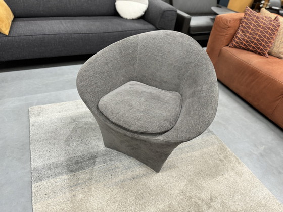 Image 1 of Label Ace armchair Fabric gray