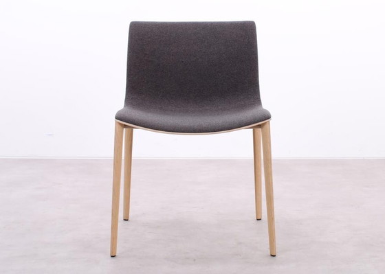 Image 1 of 4X Arper Catifa 53 Chair Gray