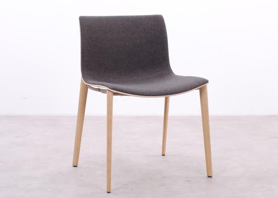 Image 1 of 4X Arper Catifa 53 Chair Gray