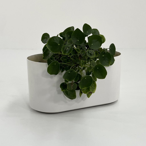 Round Crescendo Planter By Isao Hosoe For Bilumen, 1970S