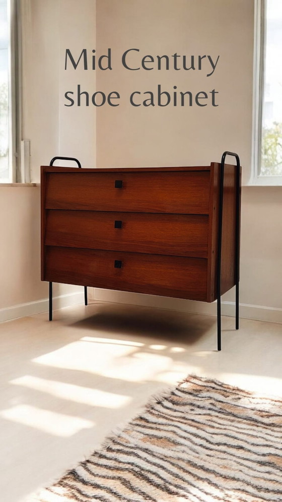 Image 1 of Mid - Century Shoe Cabinet