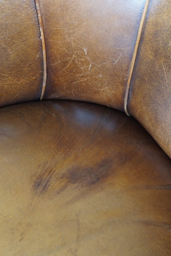 Image 1 of Sheep leather club chair with fixed seat cushion