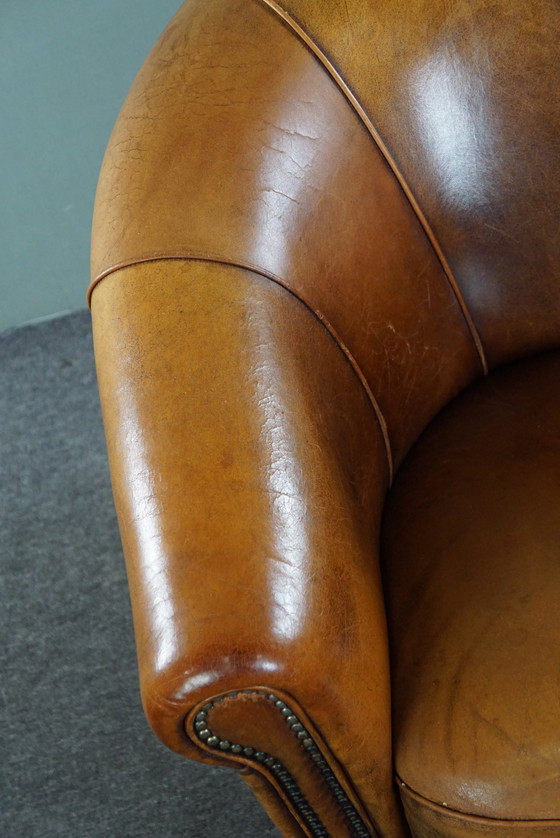 Image 1 of Sheep leather club chair with fixed seat cushion