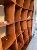 Design Organic Bookcase