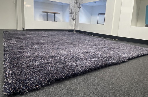 Brink & Campman Medley Carpet 2x3 New