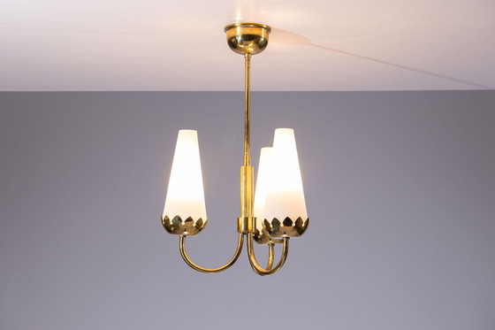 Image 1 of Lampadario in ottone con splendidi paralumi in vetro opalino.