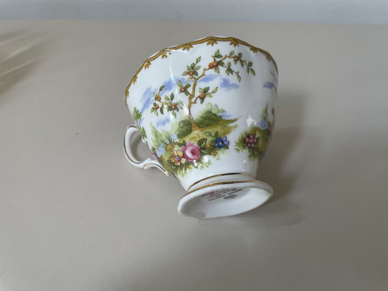 Image 1 of Royal Albert - Cup And Saucer "Chelsea Bird"