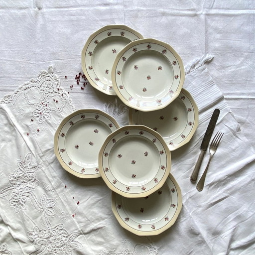 Lot De 6 Assiettes Creuses M Et S Berry Petites Fleurs Et Dorure Porcelaine Ancienne Limoges