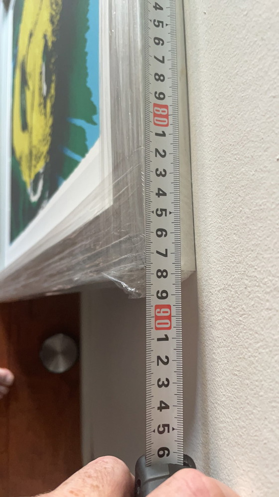 Image 1 of Herman Brood - Zeefdruk - Lady Di