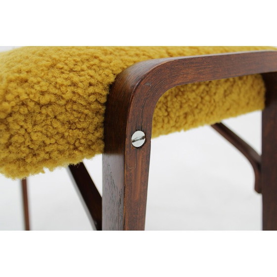 Image 1 of Sgabello vintage in faggio, Cecoslovacchia 1960