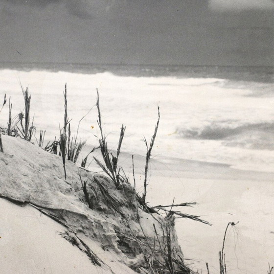 Image 1 of Vintage black and white painting representing the dunes and the ocean, France 1960