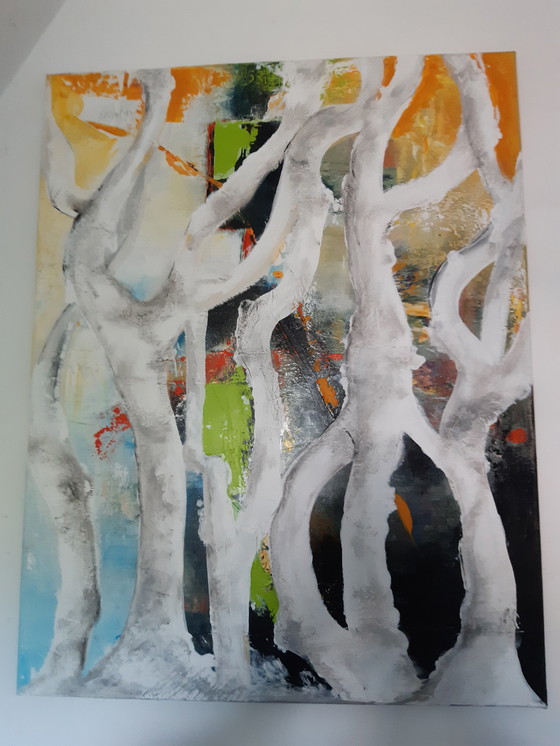 Image 1 of Gerard Bakker - Paper Birch