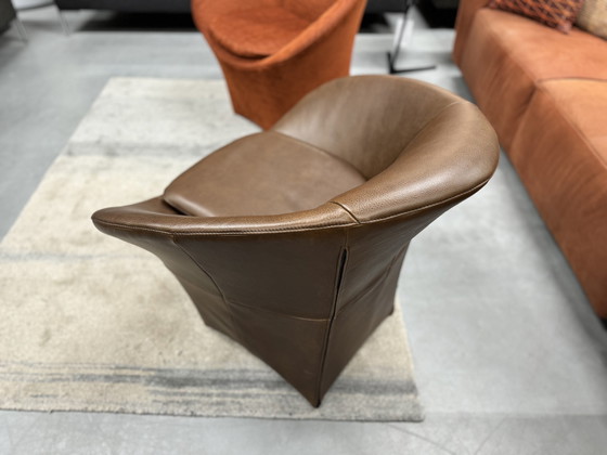 Image 1 of Label Ace armchair Bovino brown leather