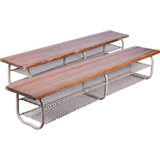 Pair of mid century benches, Czechoslovakia 1950s