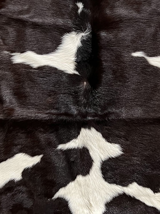 Image 1 of Cowhide Rug