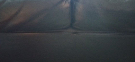 Image 1 of Sofá para tres personas, modelo Lc2 de Cassina, de Le Corbusier