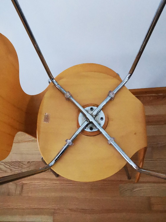 Image 1 of Silla Butterfly Tje, madera contrachapada con estructura cromada