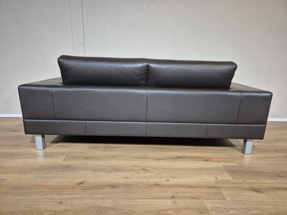 Image 1 of Leolux Antipode Dock - 2.5 Seater Sofa - Brown - Leather -Design