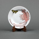 Carel Visser (1928-2015) - Dinnerware - Royal Mosa - Signed