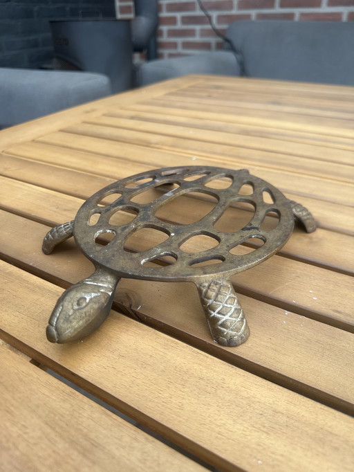 Coaster Tortoise