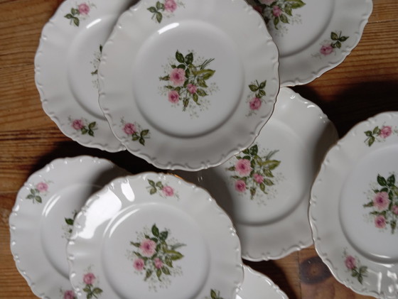 Image 1 of 8 Dessert Plates Retro Chic 1930/50, From Seltmann Weiden