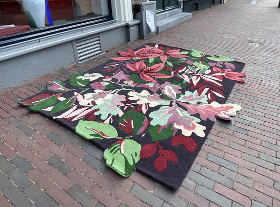 Image 1 of Brink & Campman Sanderson Tapis Robin des Bois