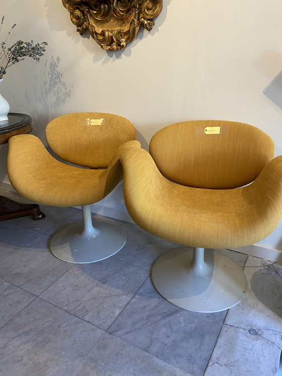 Image 1 of Set Of 4 Chairs 1950s/60s Of The 20th Century