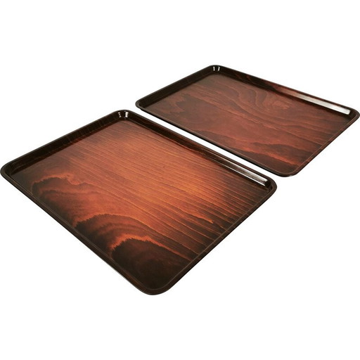 Pair of vintage oak wood and plastic trays for Gerling, Germany 1960