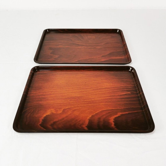 Image 1 of Pair of vintage oak wood and plastic trays for Gerling, Germany 1960