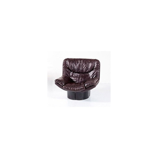 Vintage lounge chair "Il Poltrone" by T. Ammannati & G.Vitelli for Comfort Italy