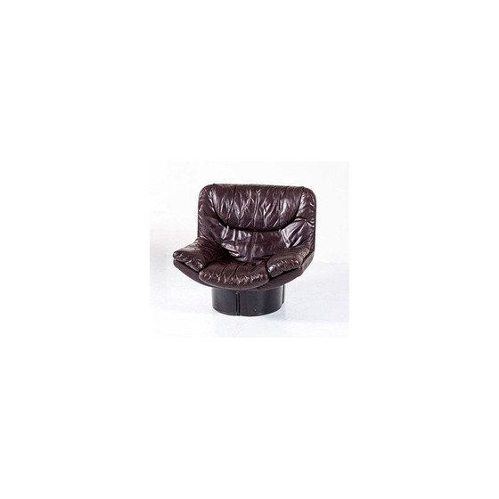 Image 1 of Vintage lounge chair "Il Poltrone" by T. Ammannati & G.Vitelli for Comfort Italy