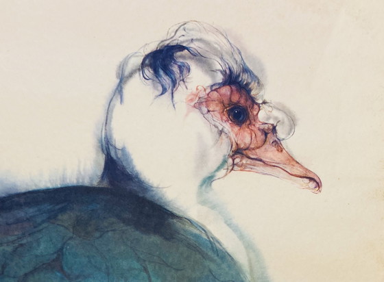 Image 1 of Klaus Meyer-Gasters - Vintage watercolor print Duck - With Frame